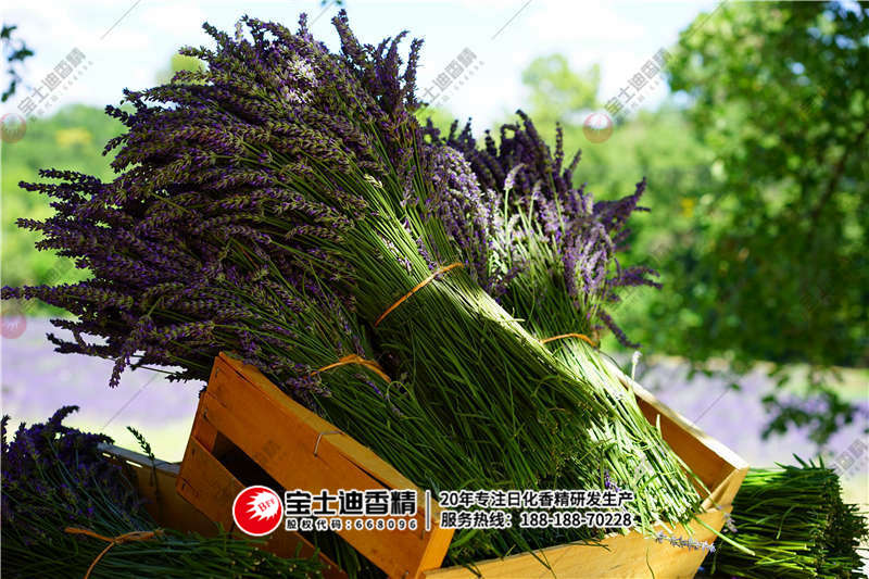 薰衣草香精 薰(xūn)衣草(cǎo)香精