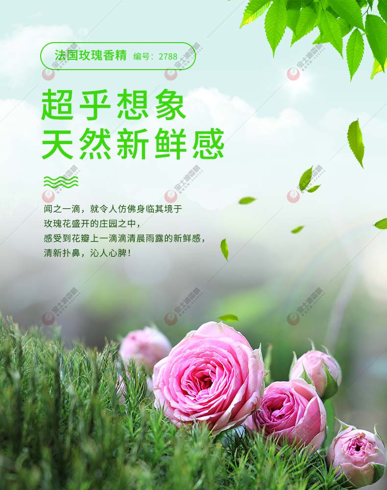 法國(guó)玫瑰香精(jīng)超乎想象天然新鮮感 法國玫(méi)瑰香精超乎想象天然新鮮感