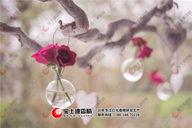 法國玫（méi）瑰香精精油掛在樹（shù）上