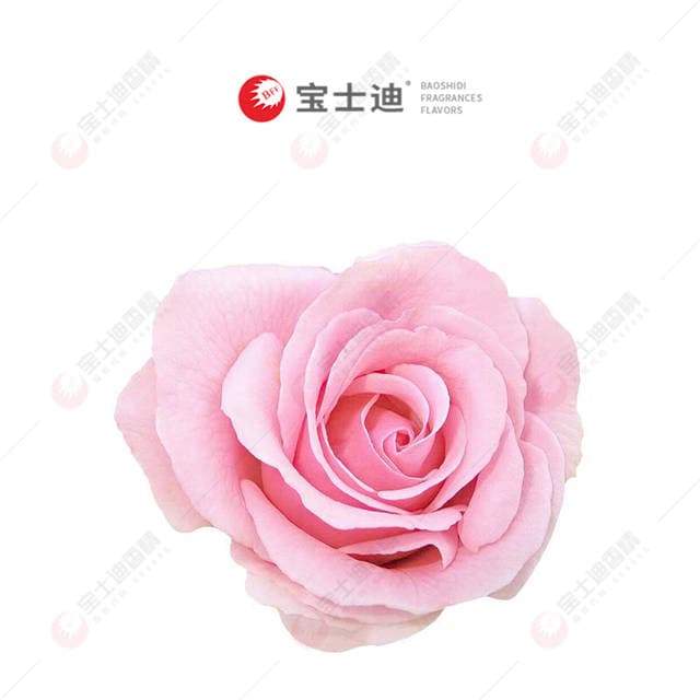 法國玫瑰香精