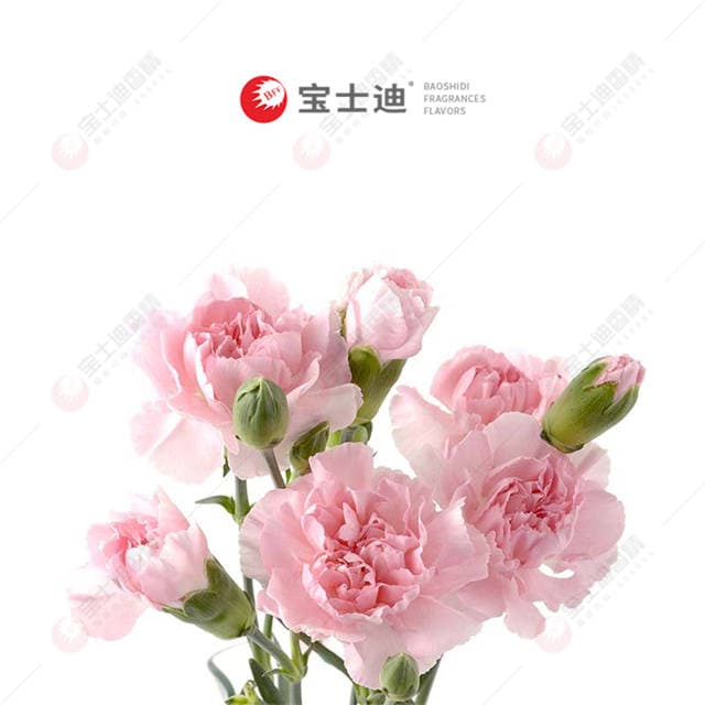 康乃馨香（xiāng）精