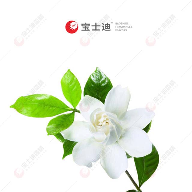 大花茉莉香精